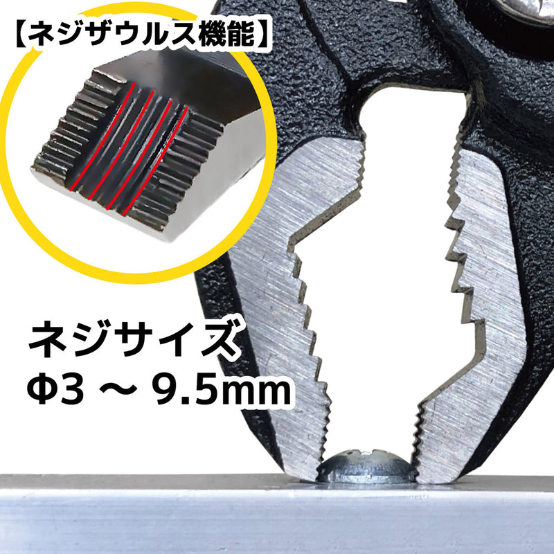 ギャラリービューアに画像をロードする, PZ-82 ネジザウルスWP-3
